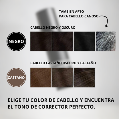 Fullhair V2 - Cubre al instante el cabello fino